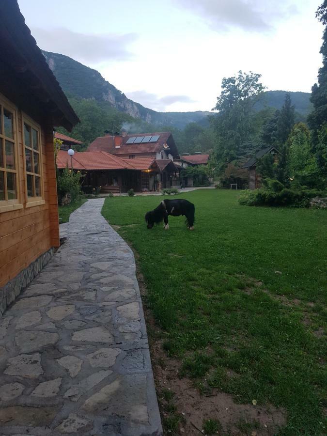 Vodopad Lisine Bed & Breakfast Strmosten Екстериор снимка